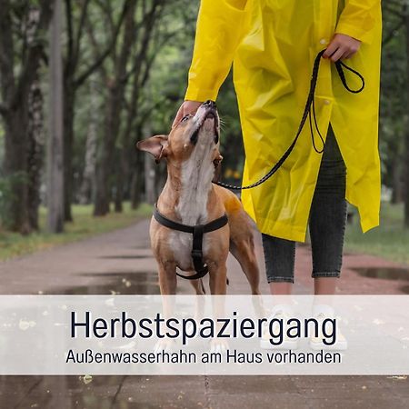 Ferienloft Sternenblick - Strandnah, Haustierfreundlich, Tolle Kueche, Optimal Fuer Workation, 4 Personen Steinberg  Eksteriør bilde