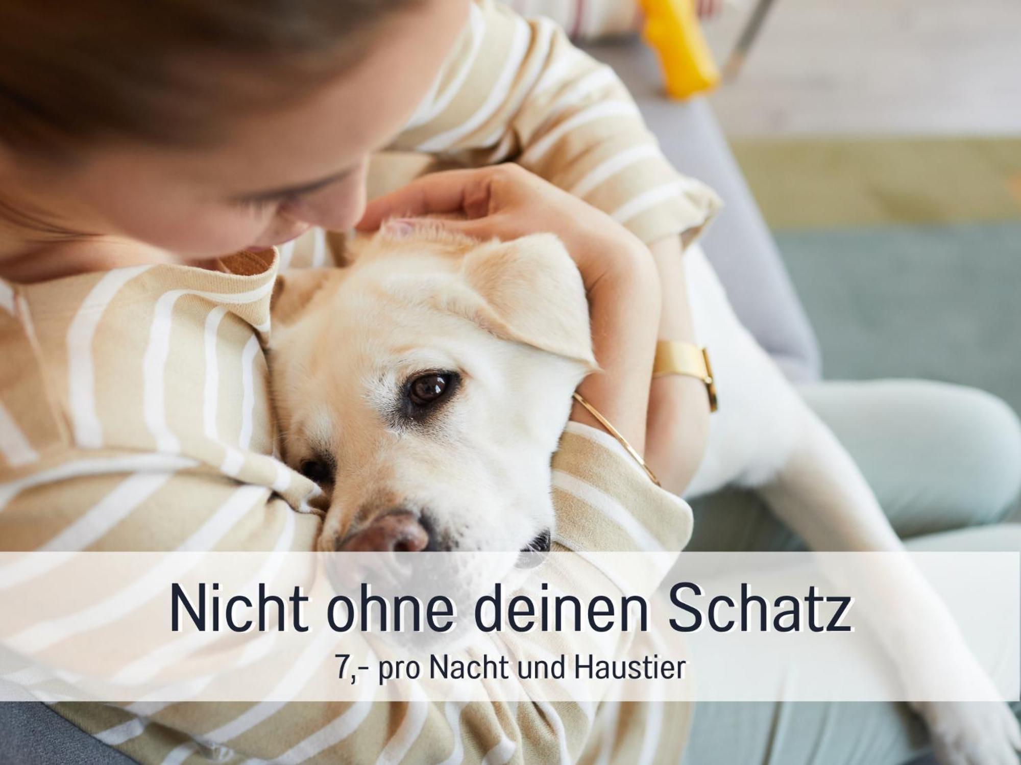 Ferienloft Sternenblick - Strandnah, Haustierfreundlich, Tolle Kueche, Optimal Fuer Workation, 4 Personen Steinberg  Eksteriør bilde