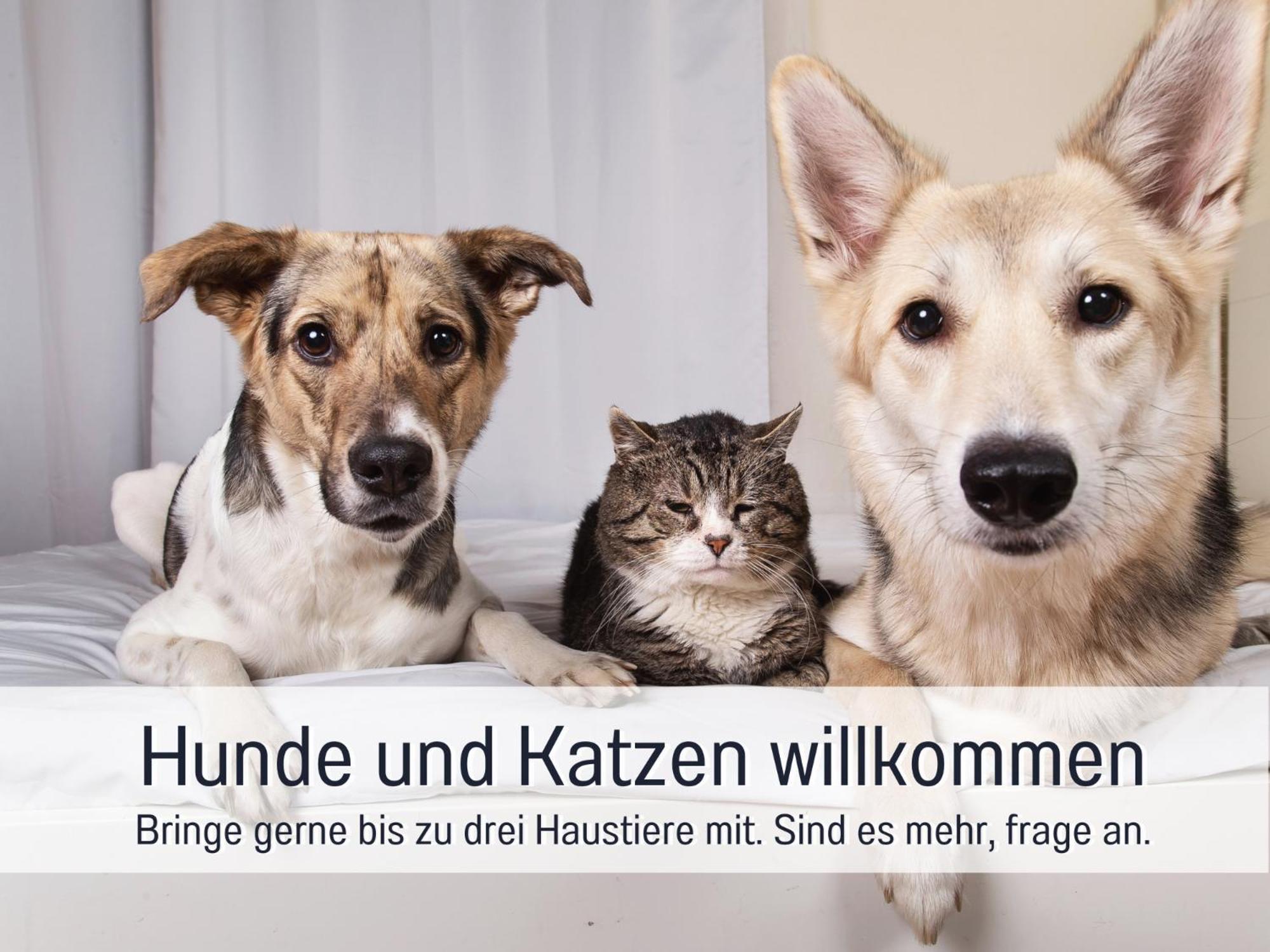 Ferienloft Sternenblick - Strandnah, Haustierfreundlich, Tolle Kueche, Optimal Fuer Workation, 4 Personen Steinberg  Eksteriør bilde
