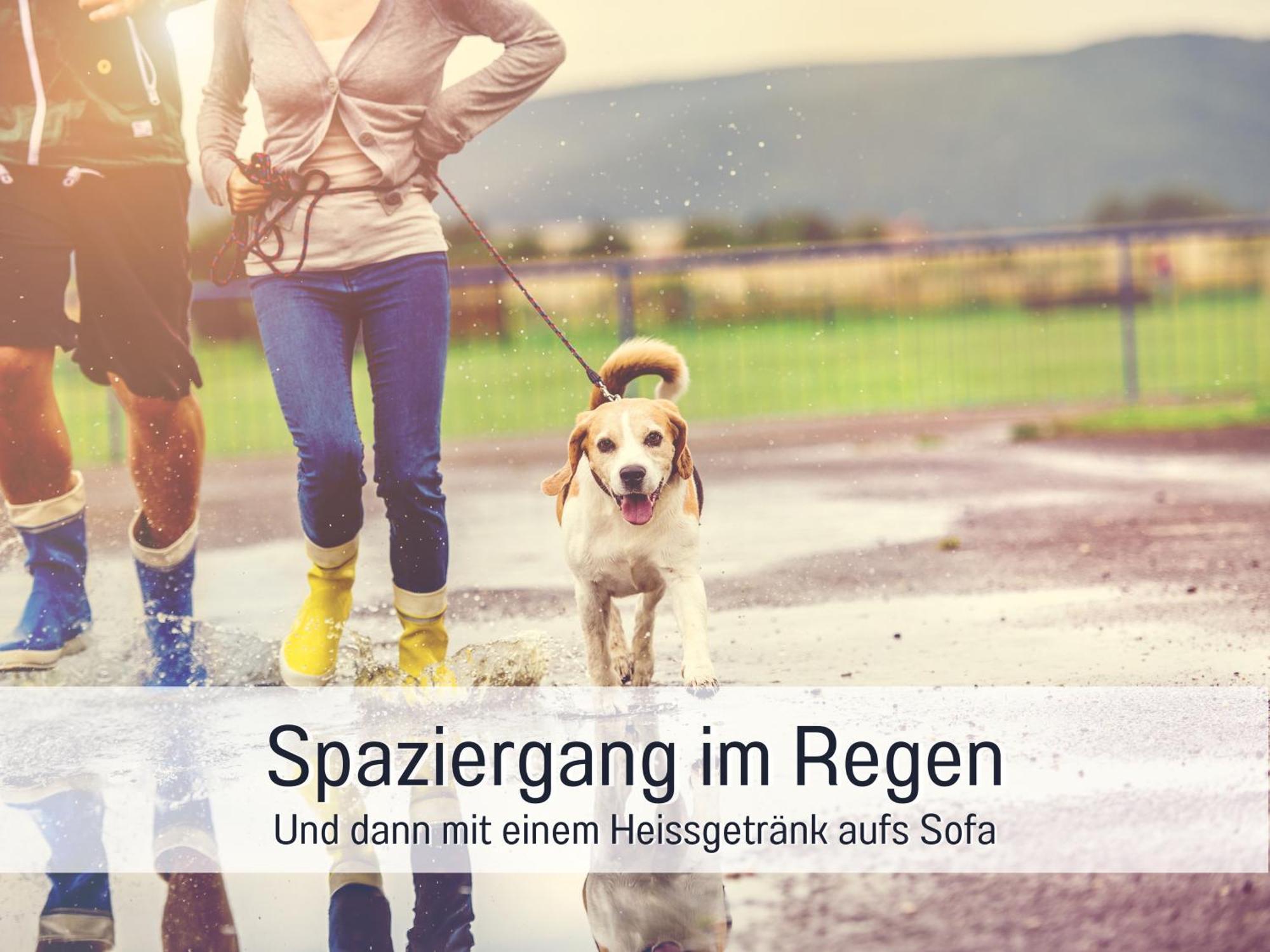 Ferienloft Sternenblick - Strandnah, Haustierfreundlich, Tolle Kueche, Optimal Fuer Workation, 4 Personen Steinberg  Eksteriør bilde