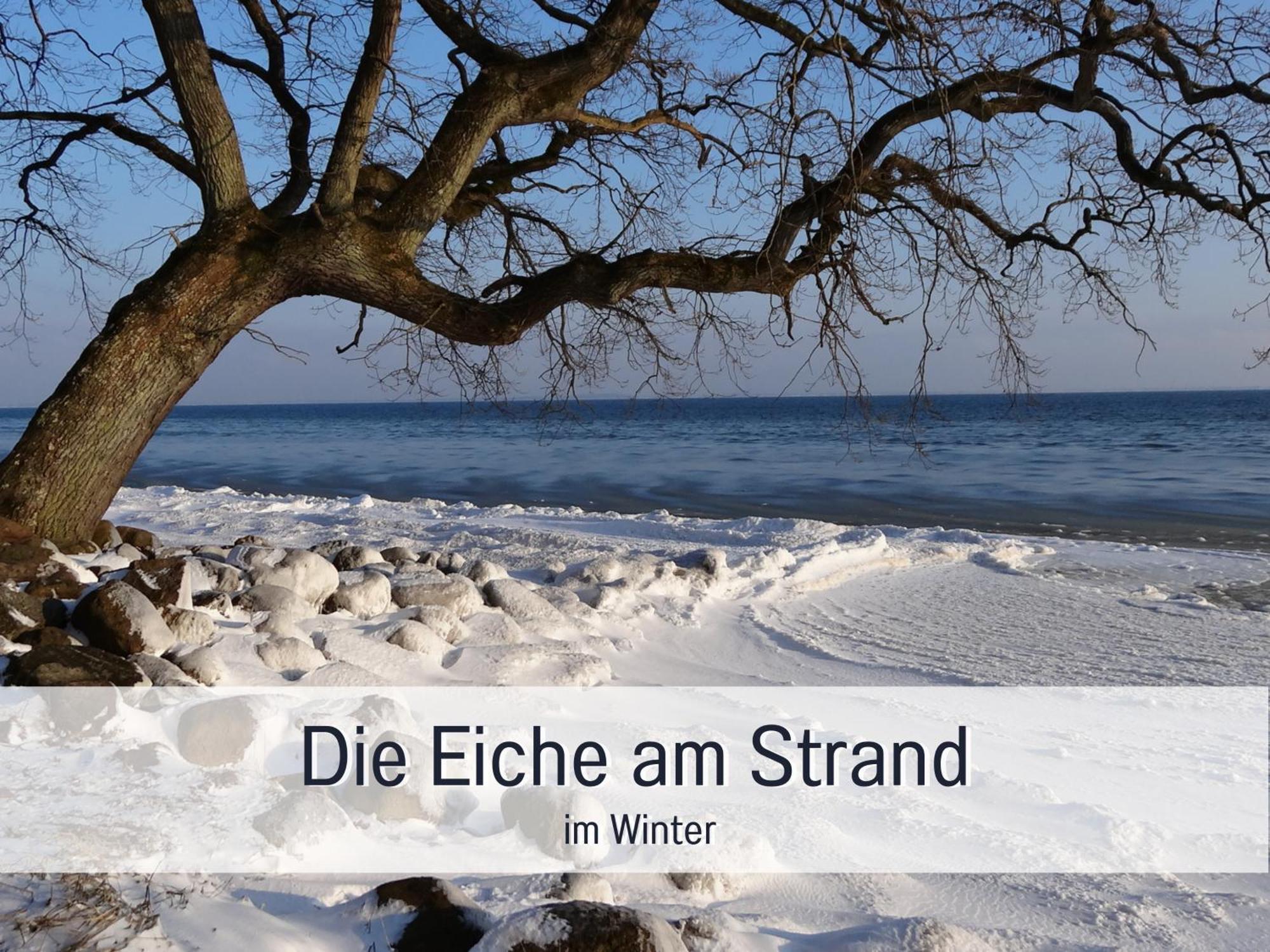 Ferienloft Sternenblick - Strandnah, Haustierfreundlich, Tolle Kueche, Optimal Fuer Workation, 4 Personen Steinberg  Eksteriør bilde