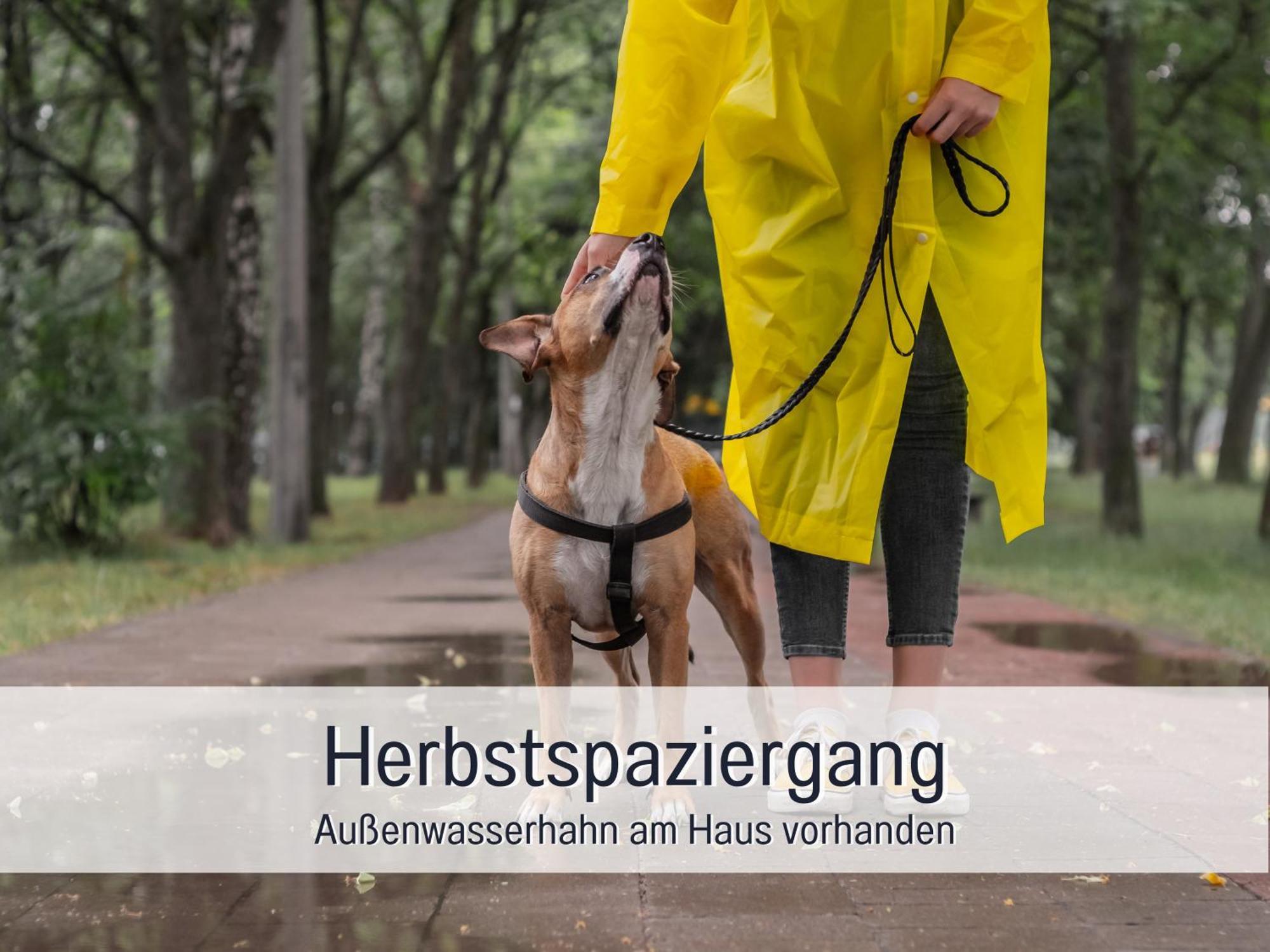 Ferienloft Sternenblick - Strandnah, Haustierfreundlich, Tolle Kueche, Optimal Fuer Workation, 4 Personen Steinberg  Eksteriør bilde