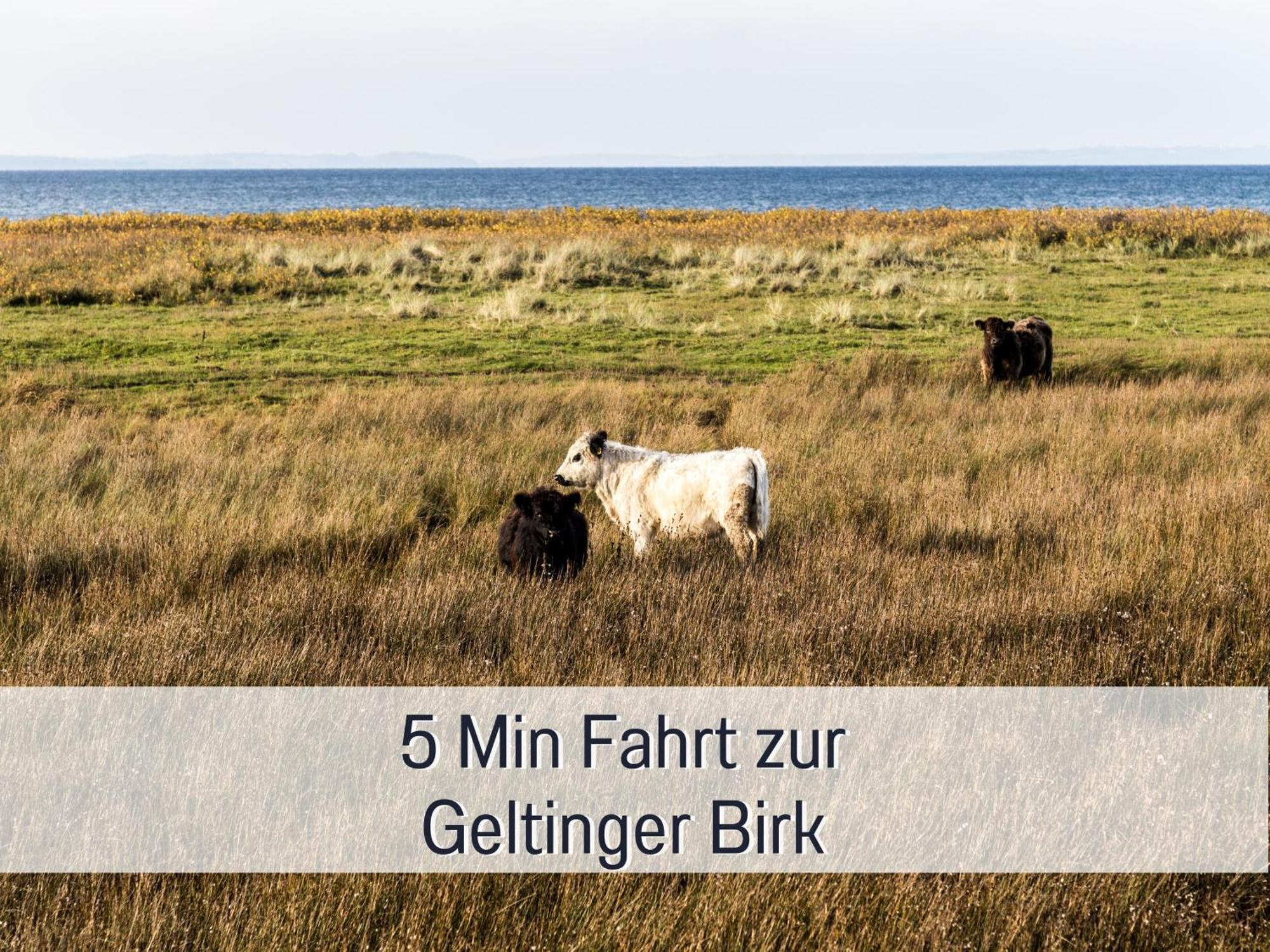 Ferienloft Sternenblick - Strandnah, Haustierfreundlich, Tolle Kueche, Optimal Fuer Workation, 4 Personen Steinberg  Eksteriør bilde